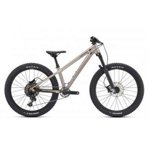 BICICLETAS